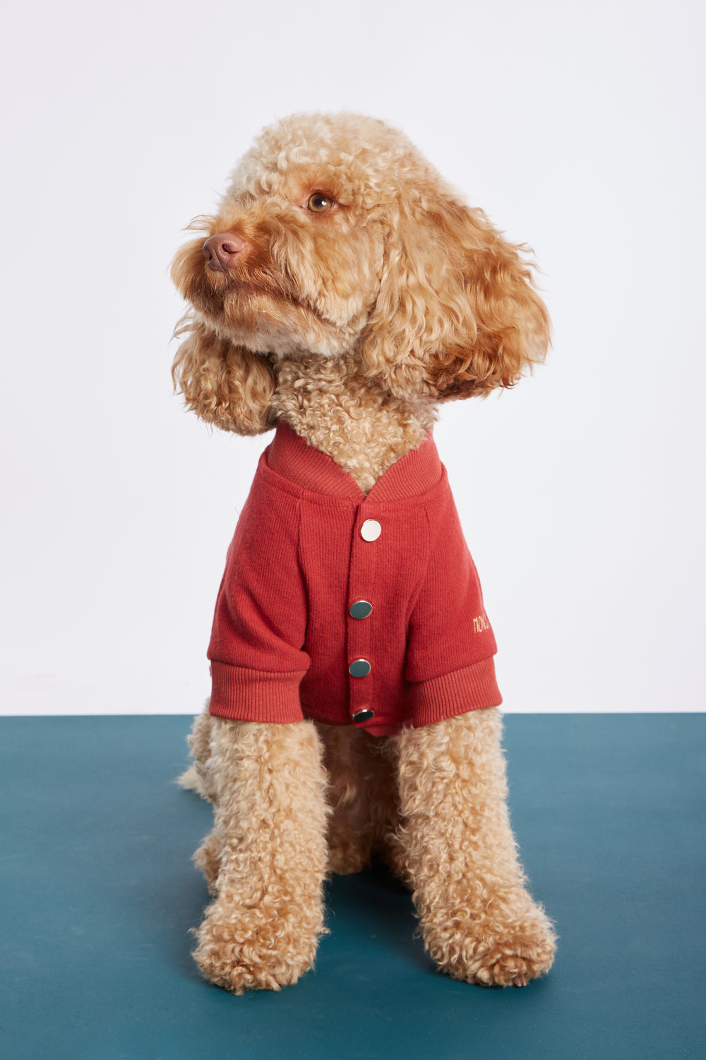 Kırmızı Köpek Kolej Ceketi - 