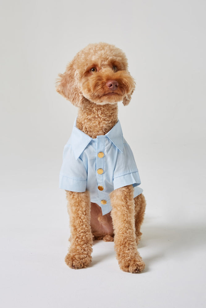 
                  
                    Mavi Köpek Gömlek - Gold Düğmeler ve Cep Detaylı
                  
                