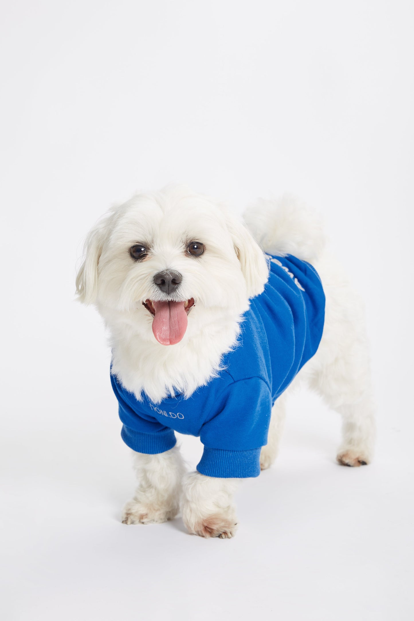 
                  
                    Mavi Köpek Sweatshirt - "Awesome" Sloganlı
                  
                