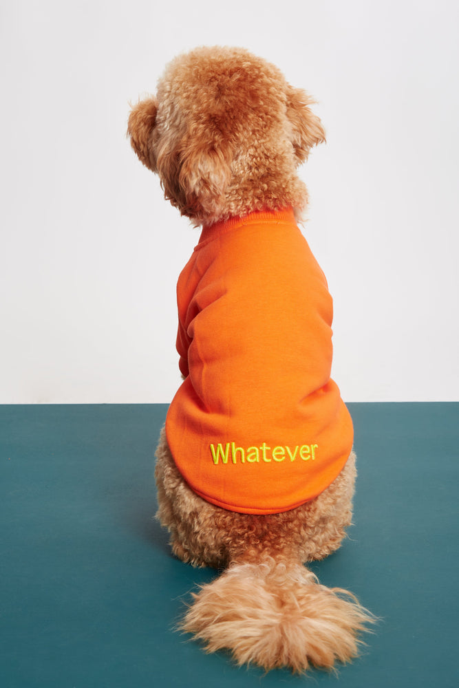 
                  
                    Turuncu Köpek Sweatshirt - 'Whatever' Sloganlı
                  
                