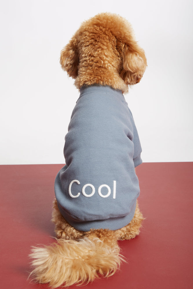 
                  
                    Gri Köpek Kolej Ceketi - "Cool" Sloganlı
                  
                