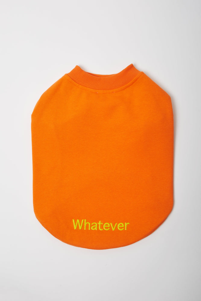 
                  
                    Turuncu Köpek Sweatshirt - 'Whatever' Sloganlı
                  
                