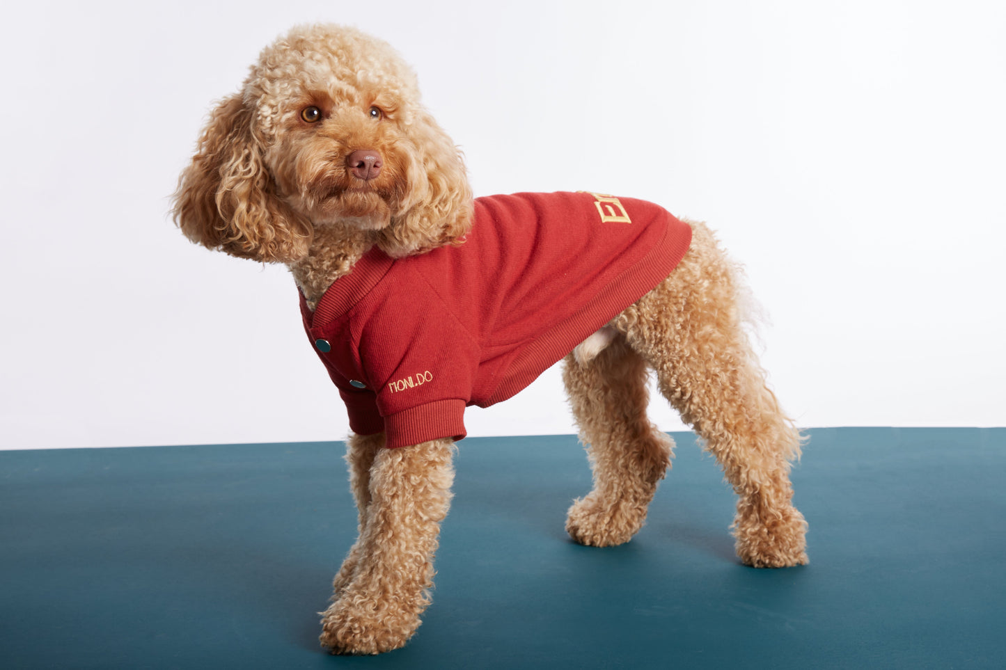 
                  
                    Kırmızı Köpek Kolej Ceketi - "Enjoy" Sloganlı
                  
                