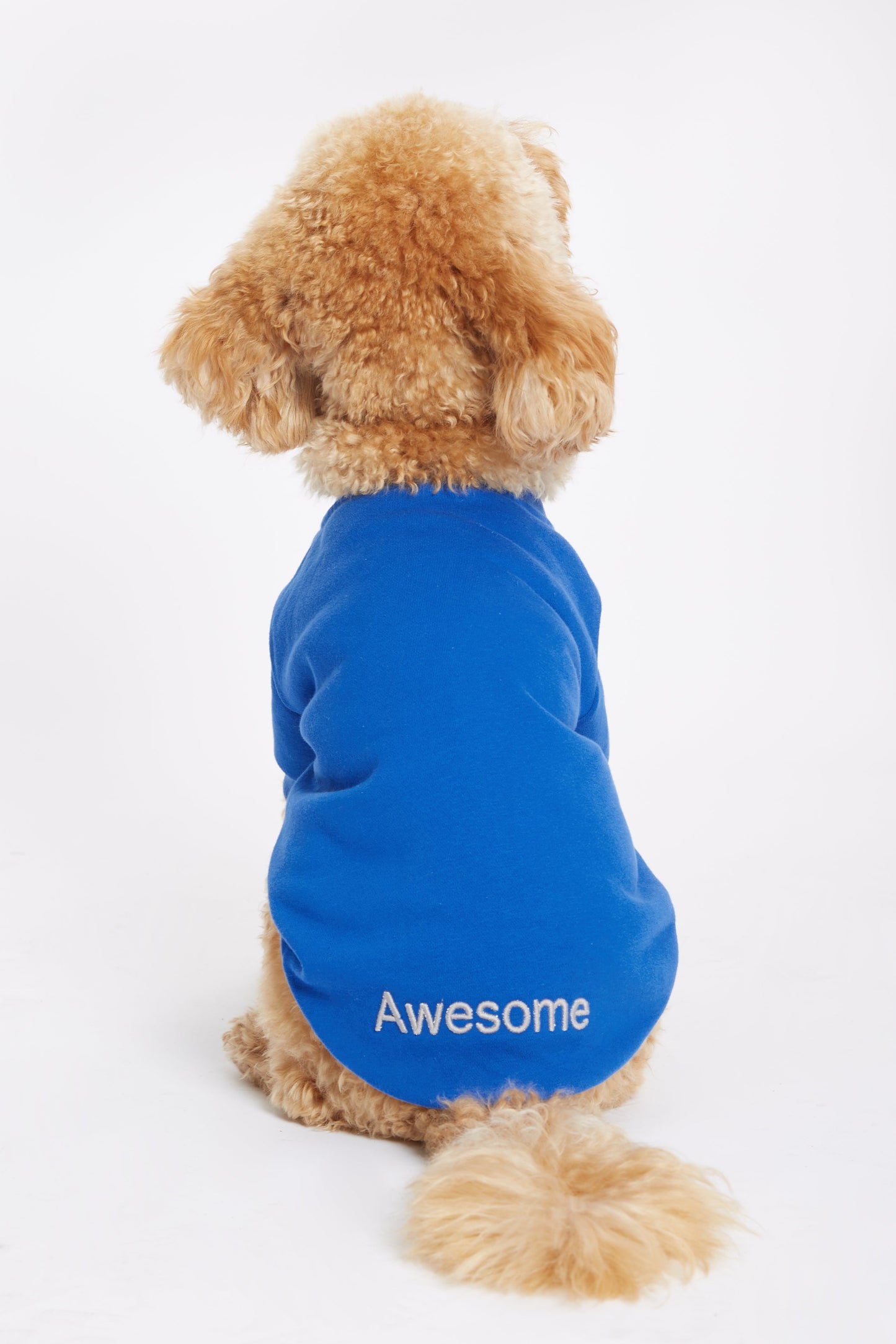 
                  
                    Mavi Köpek Sweatshirt - "Awesome" Sloganlı
                  
                